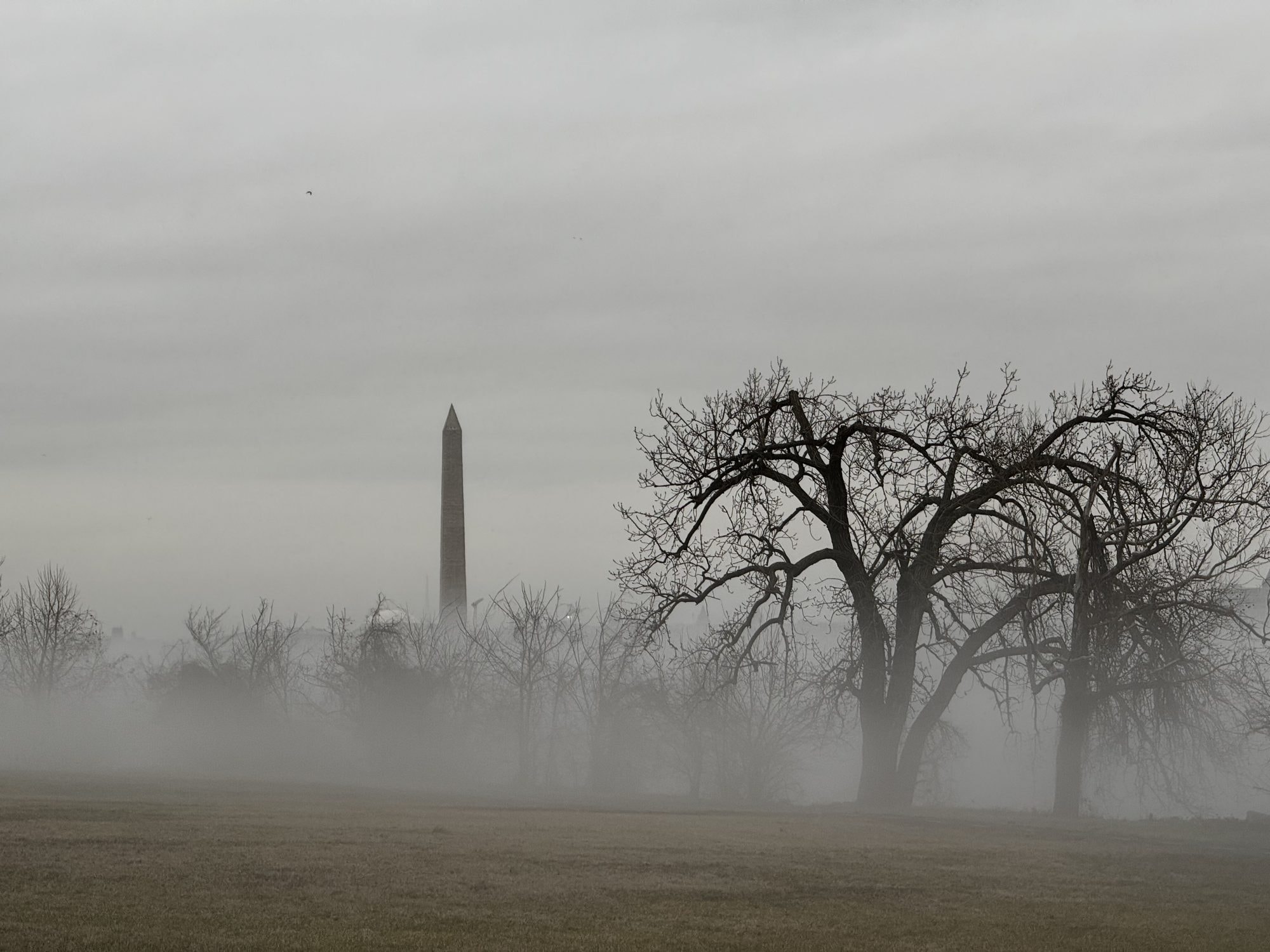 Washington Monument in fog